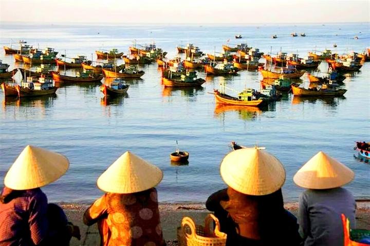 Xu hướng Loài cá kỳ lạ nhất châu Phi:: Hotspot Matrix tiết lộ bí quyết video viral