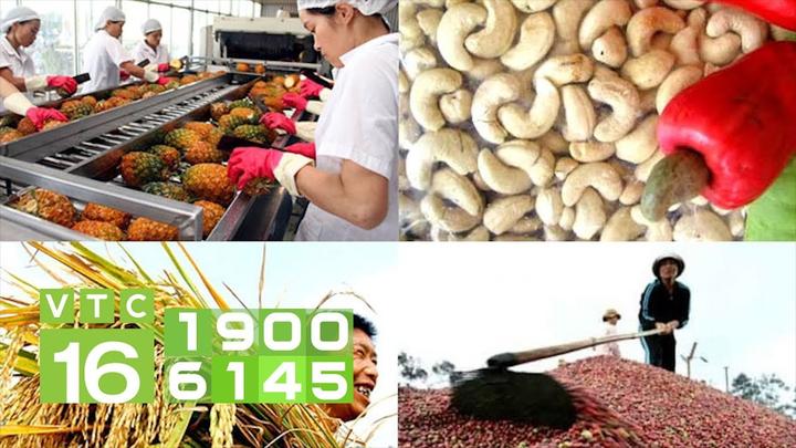 Từ 4 con giáp được quý nhân giúp đến chiến lược content: Hotspot Matrix chia sẻ