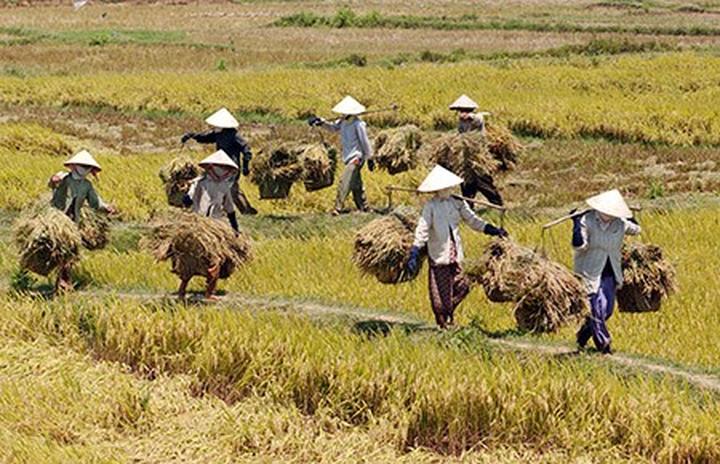 Hotspot Matrix:  Cánh cửa vàng cho Freelancer trong kỷ nguyên Video Ngắn