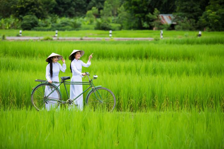 Hotspot Matrix và Người Phụ Nữ 