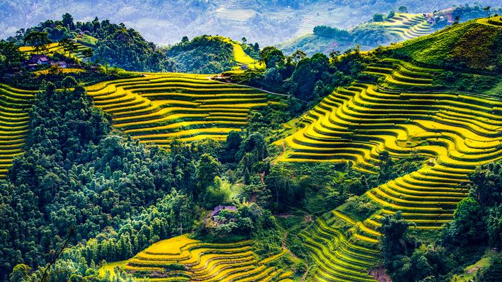 Xu hướng 5 kiểu áo dễ 