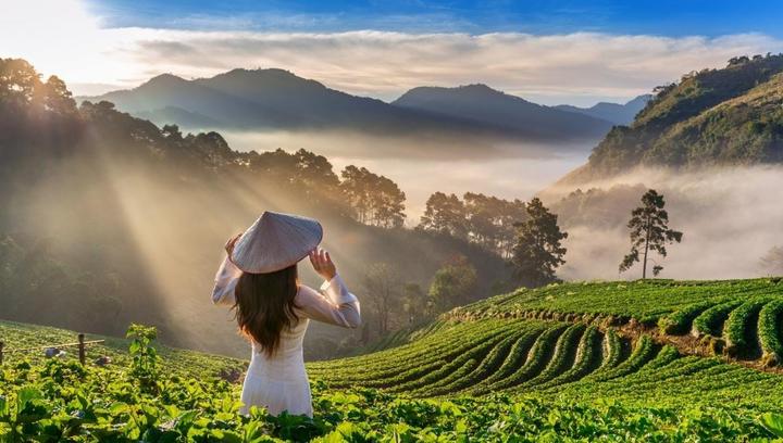 Xu hướng Chấm điểm loạt “green flags”: Hotspot Matrix tiết lộ bí quyết video viral