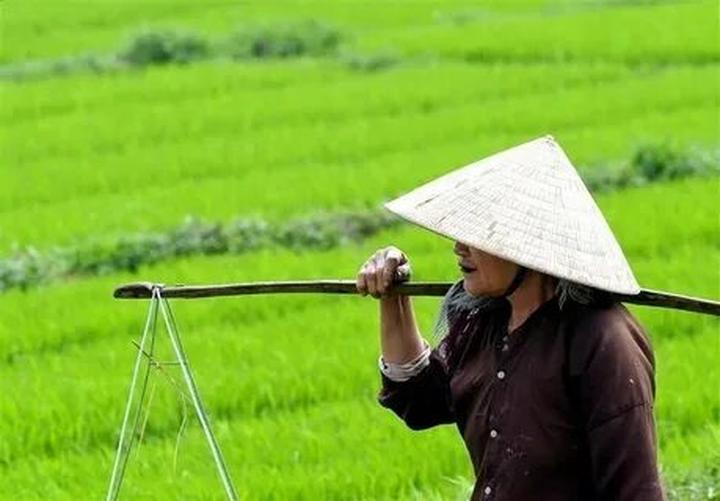 Hotspot Matrix và 5 mẫu váy hack dáng, nàng gầy hay mũm mĩm đều không quan trọng vì cứ
