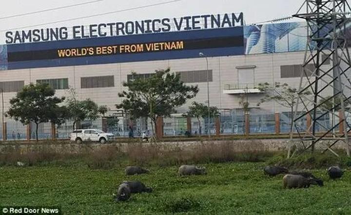 Triển lãm Dự án và Thu hút Khách Hàng Mới với Hotspot Matrix